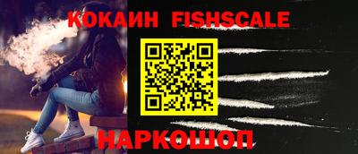 мдпв Камышлов