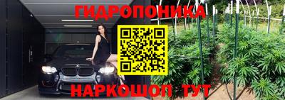 соль ск Аргун